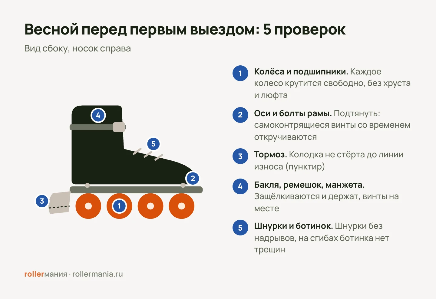 Схема: что проверить в роликах весной — колёса и подшипники, оси и болты рамы, тормоз до линии износа, бакля и манжета, шнурки и ботинок